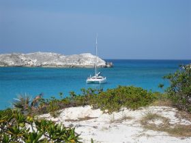 IMG_2180 (Large).JPG