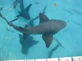 IMG_2200 (Large).JPG