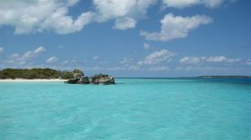 IMG_2329 (Large).JPG