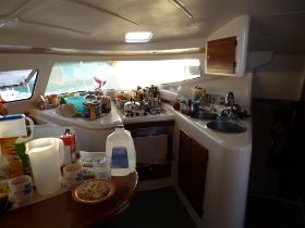 P1000285 (Large).JPG