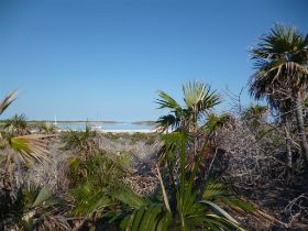 P1000299 (Large).JPG